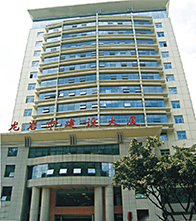 福建龍巖是建設(shè)大廈地基處理工程